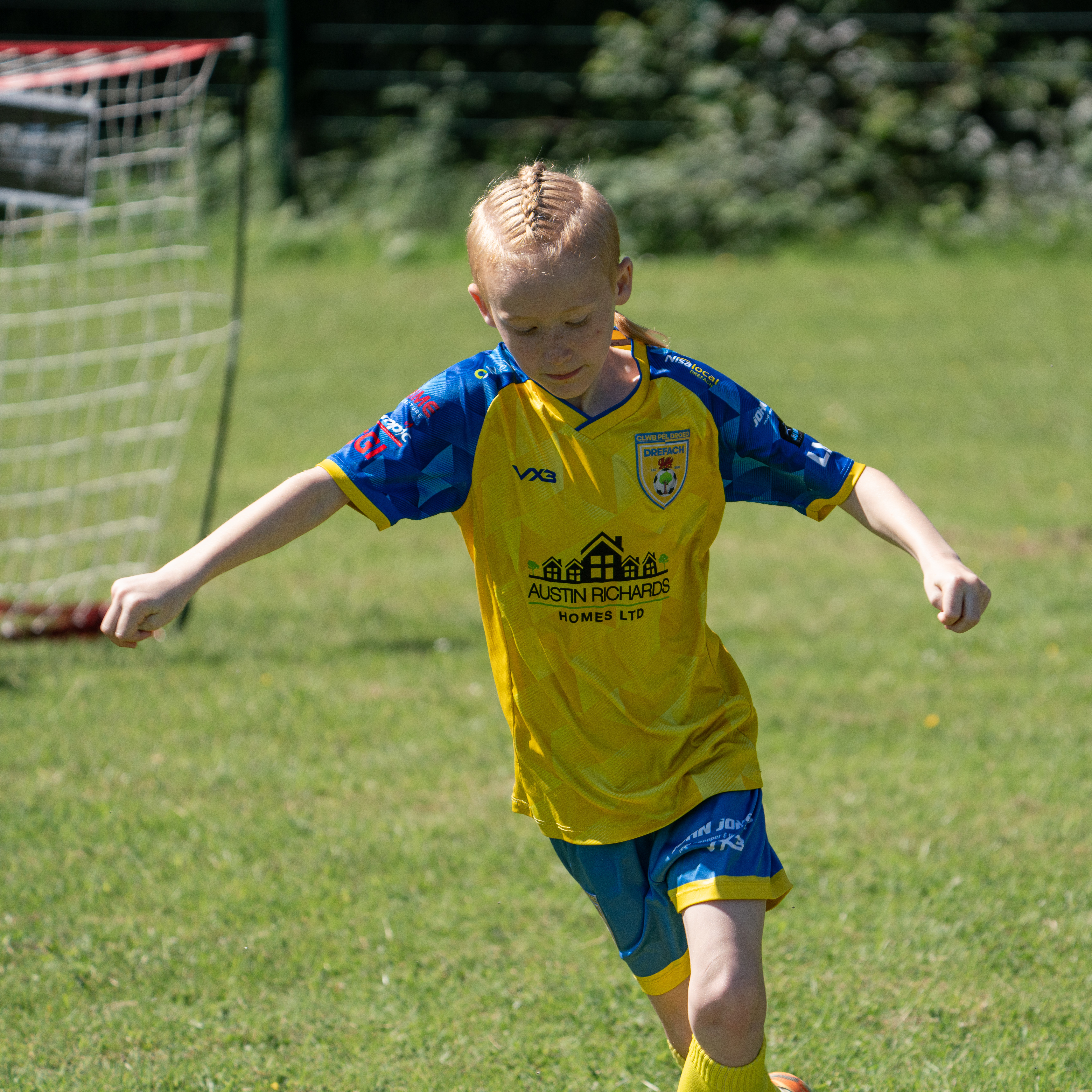 Banc Festival 2026-05-30