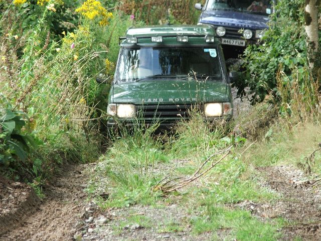 Louie-at-Brechfa-14.jpg