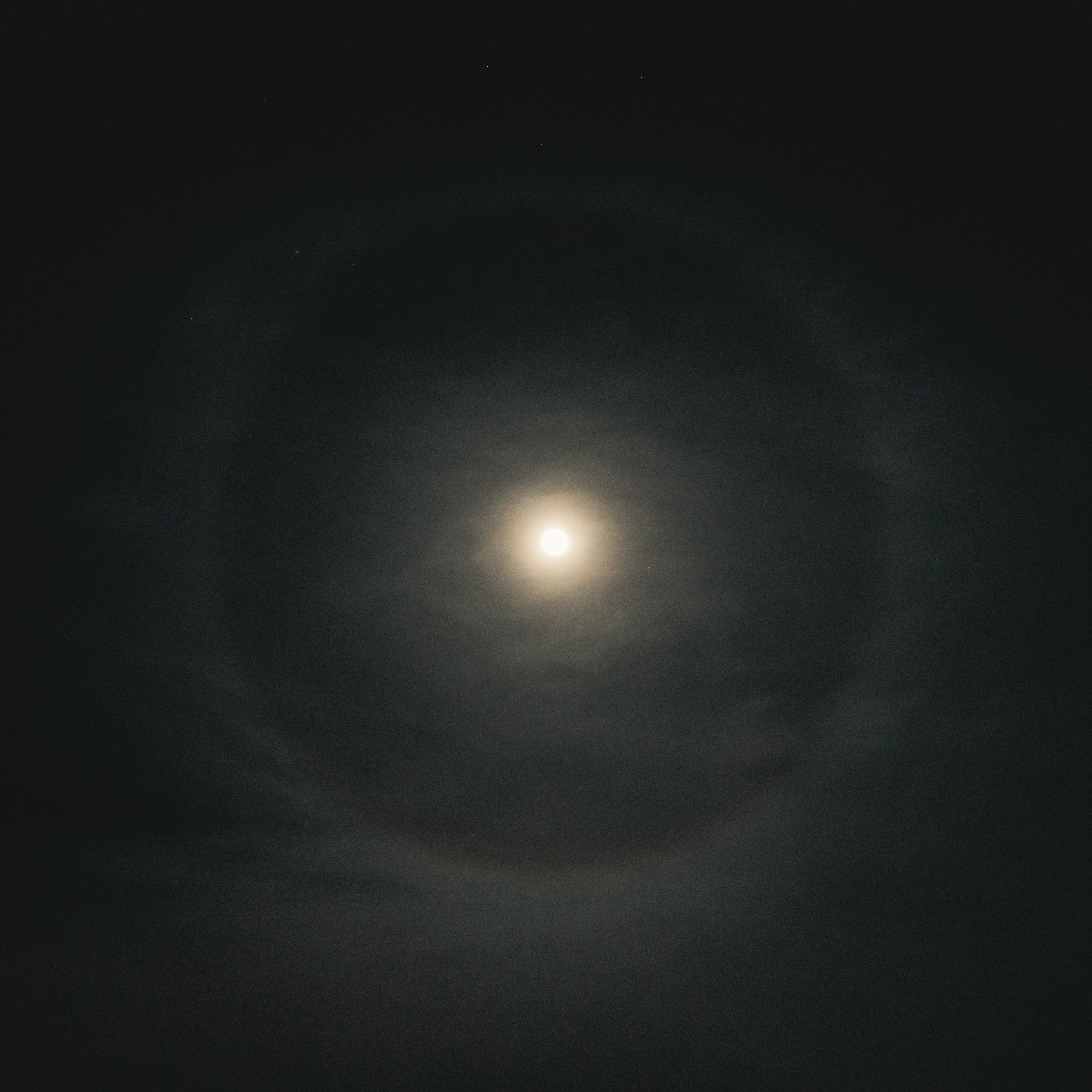 BJH08398-2.jpg