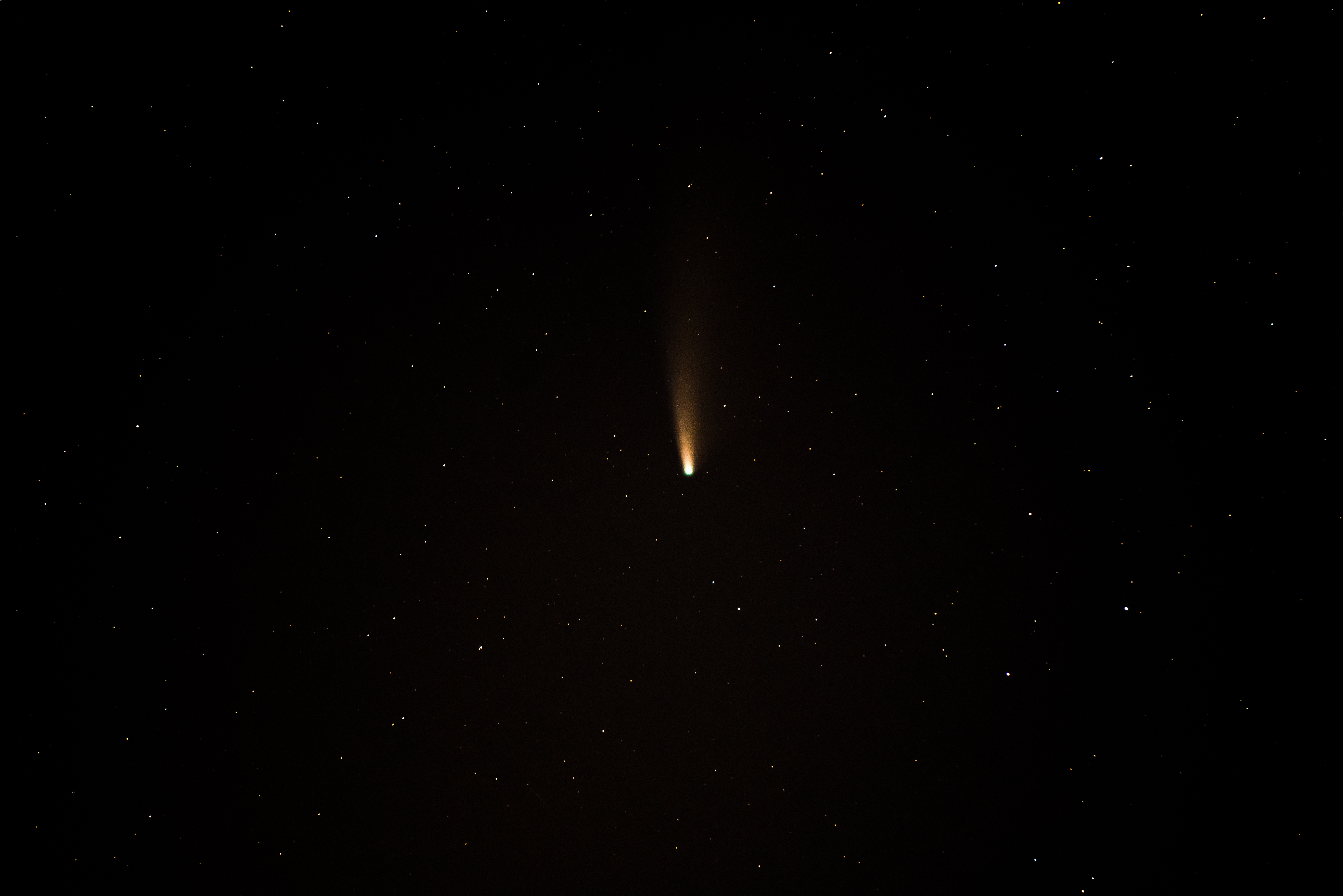 DSC06600.jpg